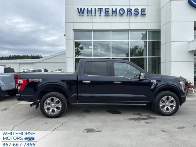 Ford F-150 Platinum 2021