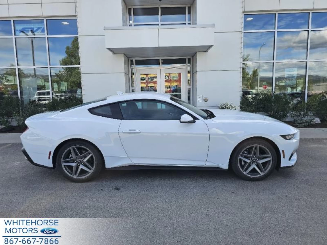2024 Ford Mustang EcoBoost Image principale