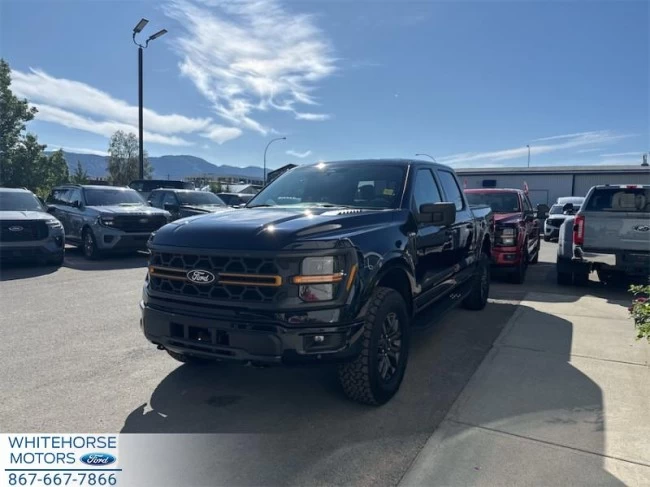 Ford F-150 - 2025