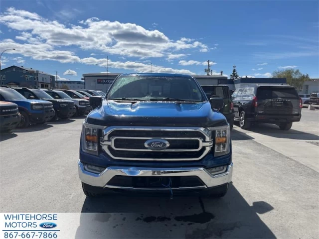 Ford F-150 XLT 2023