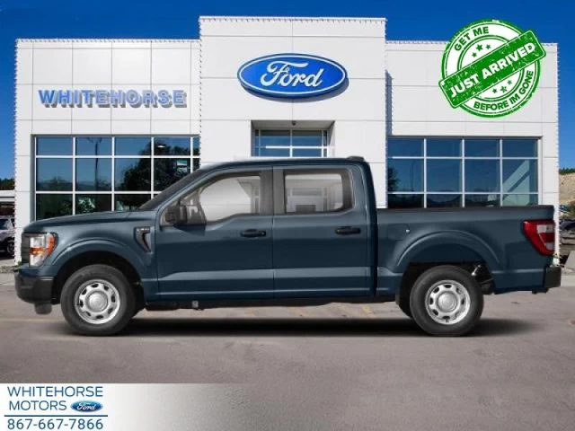 Ford F-150 Platinum 2021