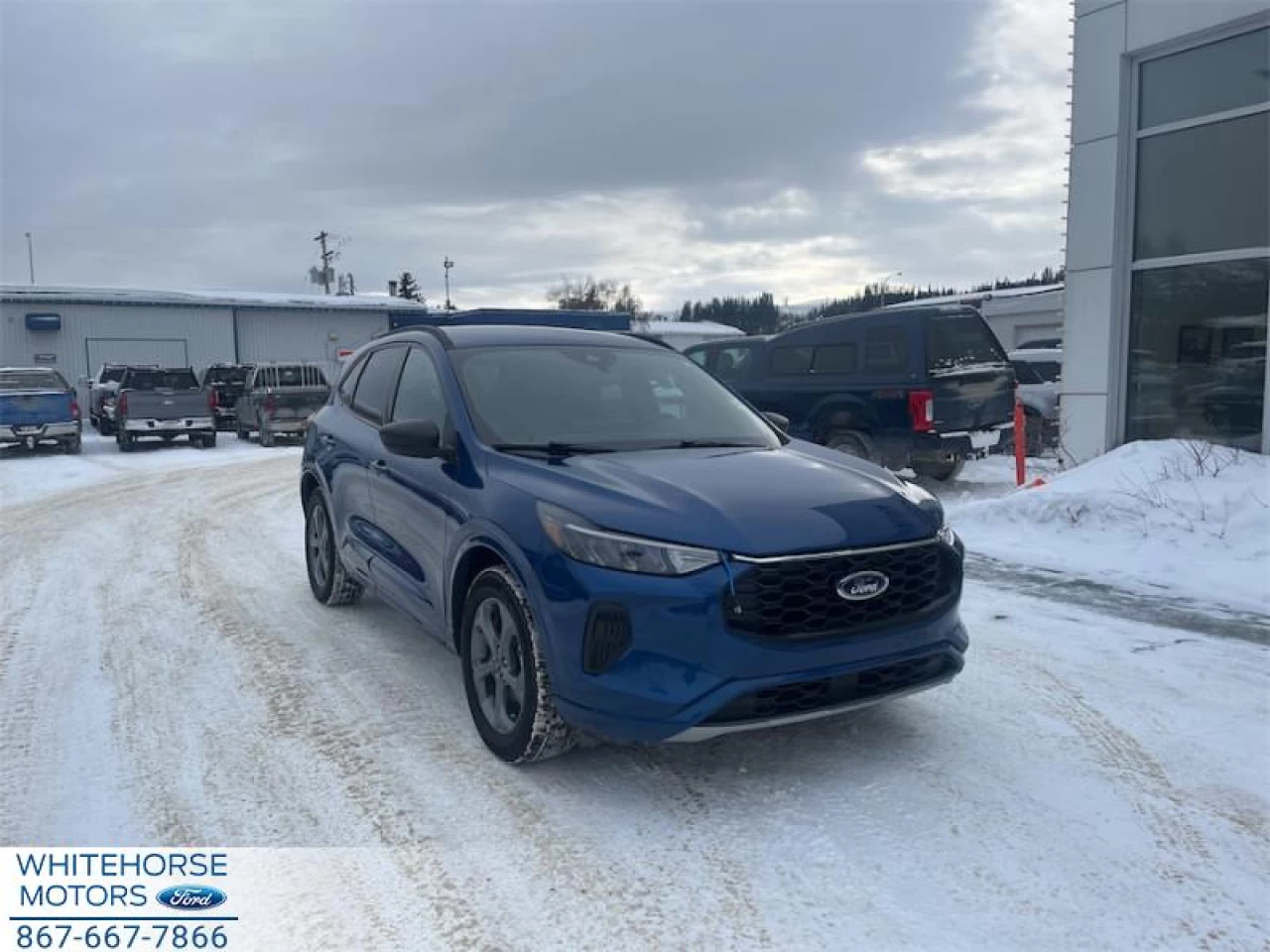 2023 Ford Escape ST-Line AWD Main Image