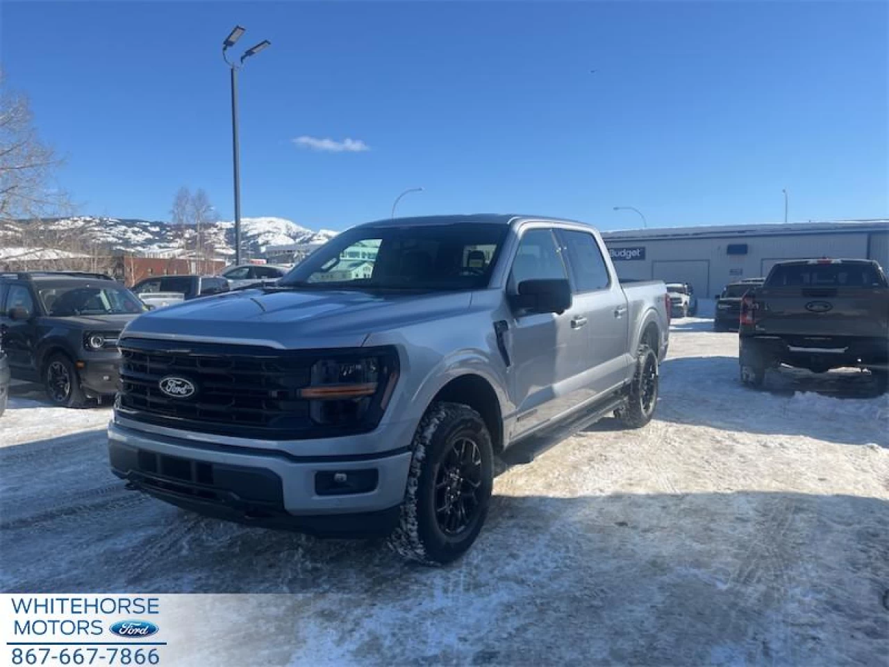 2026 Ford F-150 XLT Main Image