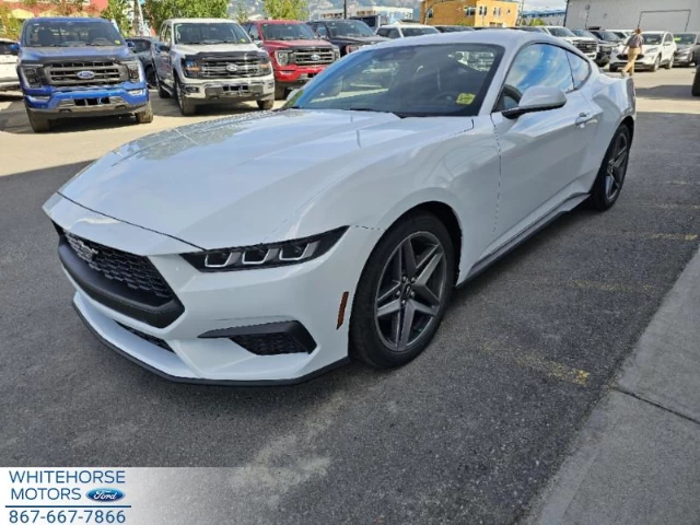 Ford Mustang EcoBoost 2024