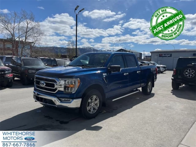 Ford F-150 XLT 2023