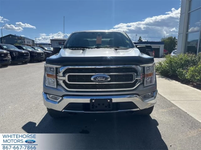Ford F-150 XLT 2023
