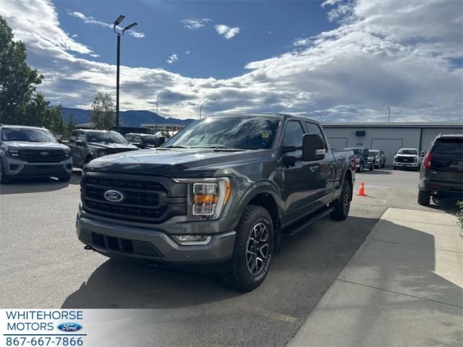 Ford F-150 - 2023