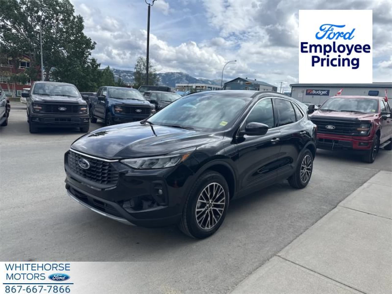 2025 Ford Escape PHEV Main Image