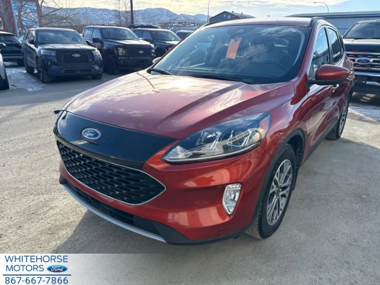 2020 Ford Escape SEL 4WD Main Image