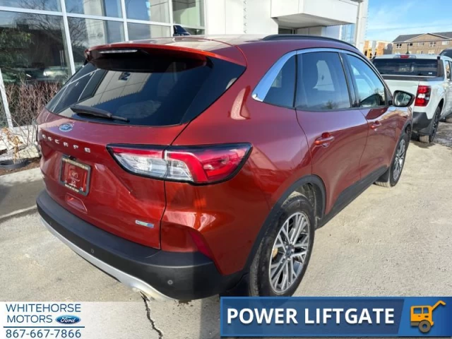 Ford Escape SEL 4WD 2020