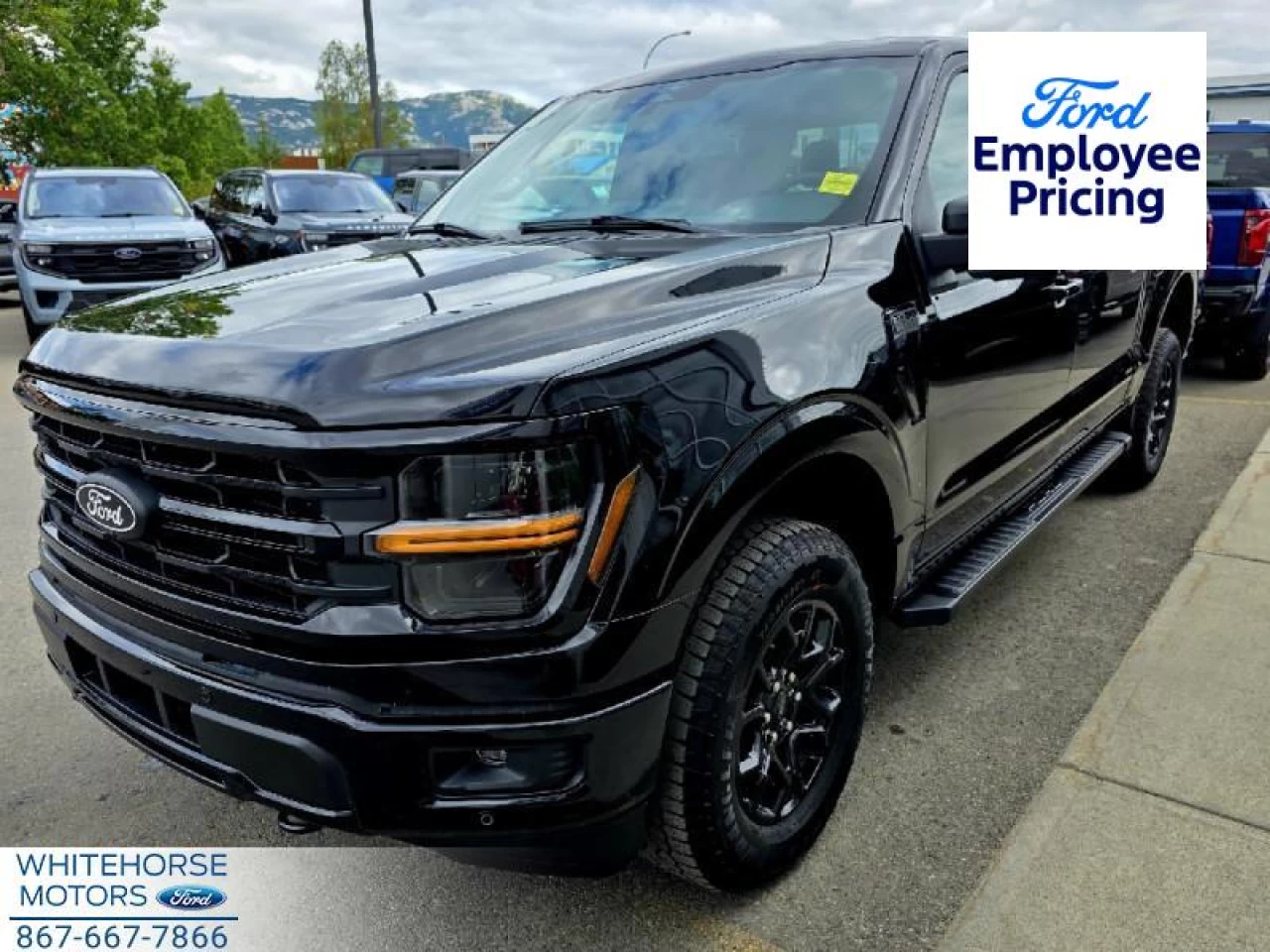 2025 Ford F-150 XLT Main Image