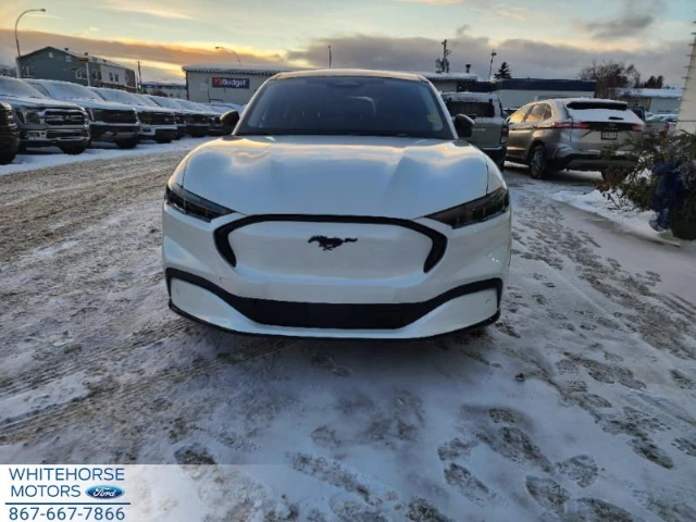 Ford Mustang Mach-E Premium AWD 2024