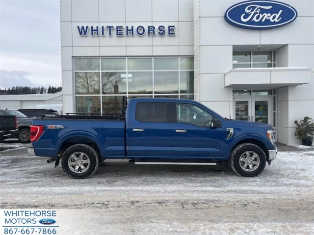 Ford F-150 XLT 2023