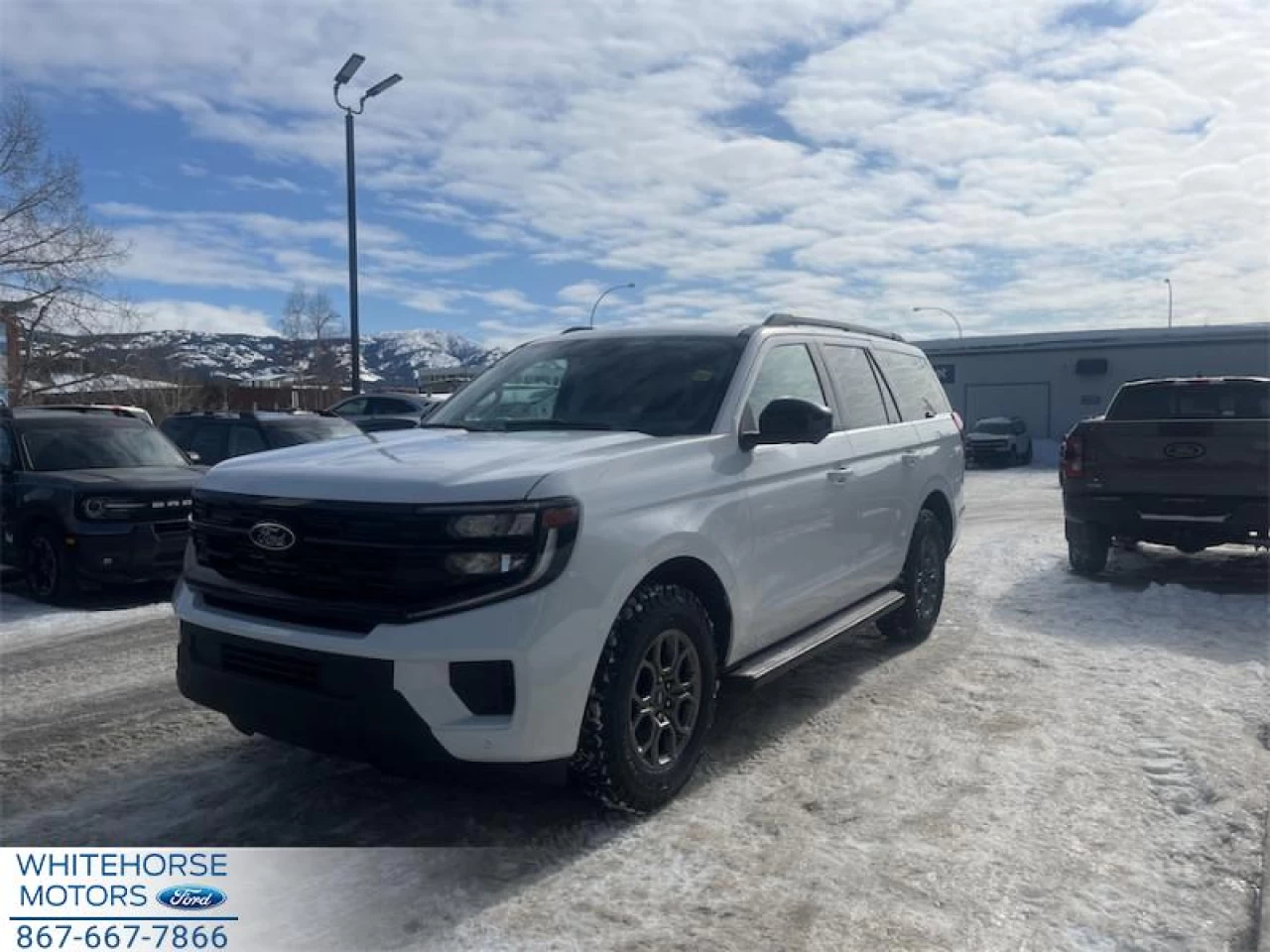 2026 Ford Expedition  Main Image