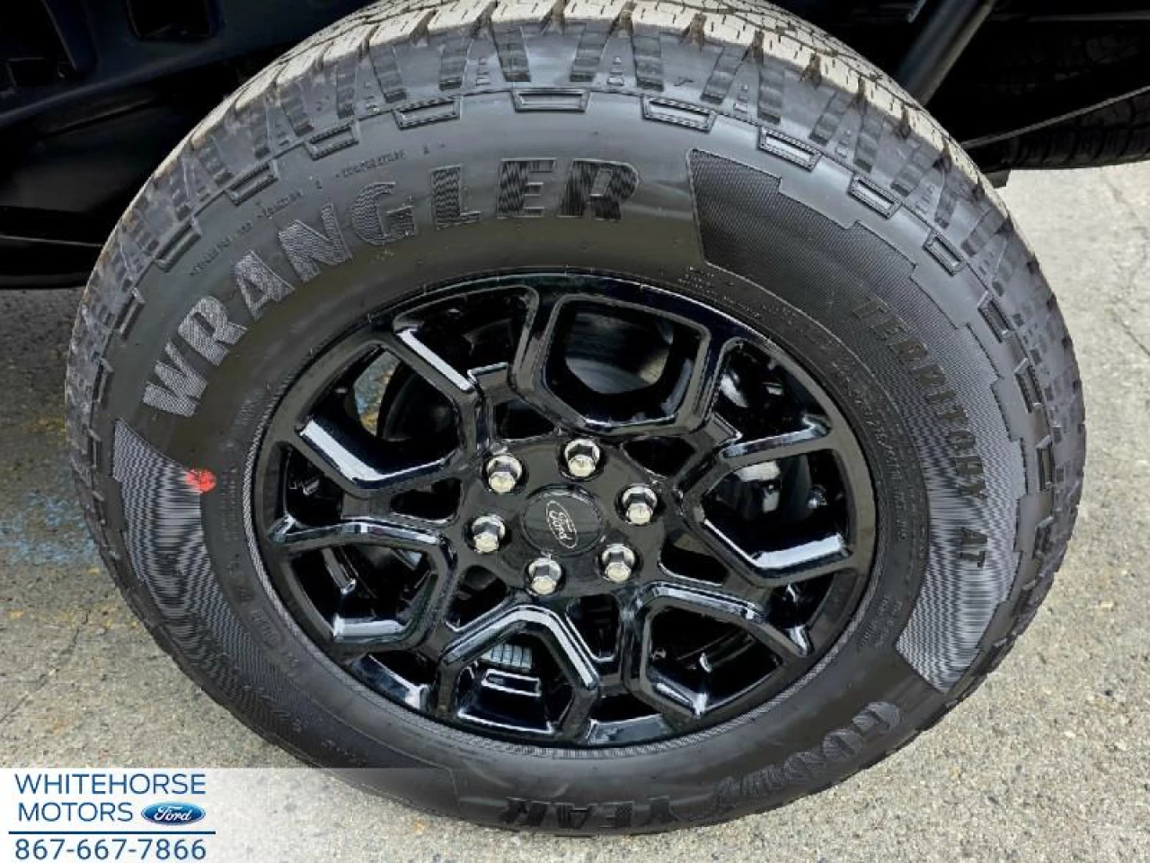 2025 Ford F-150 XLT Main Image