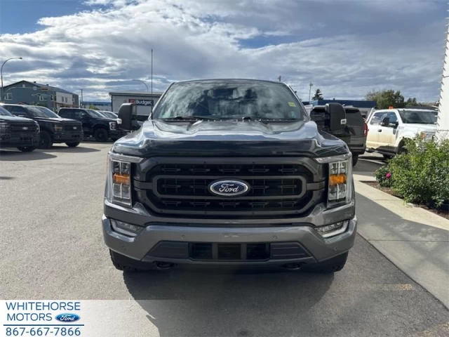 Ford F-150 XLT 2023