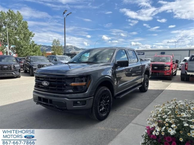Ford F-150 - 2025