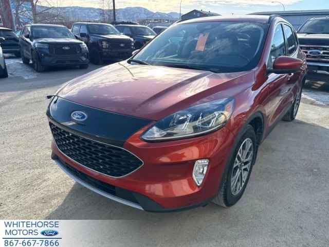 Ford Escape SEL 4WD 2020