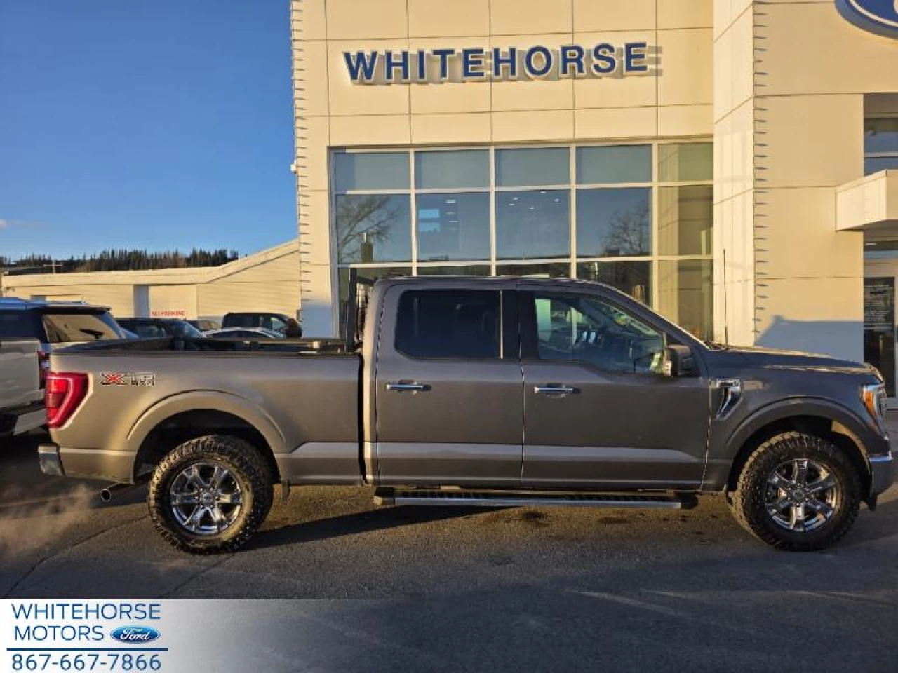 2023 Ford F-150 XLT Main Image