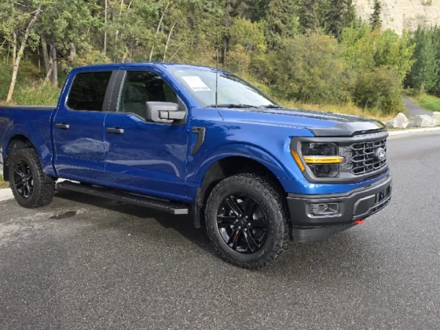 Ford F-150 STX 2025