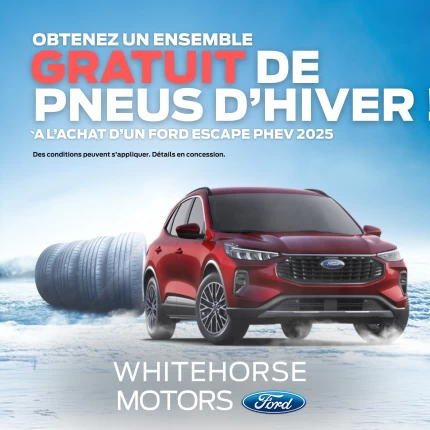 Pneus D'hiver