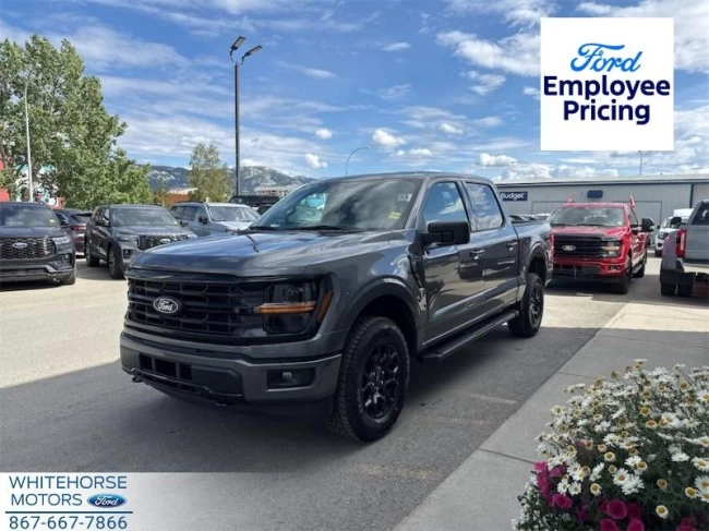 Ford F-150 - 2025