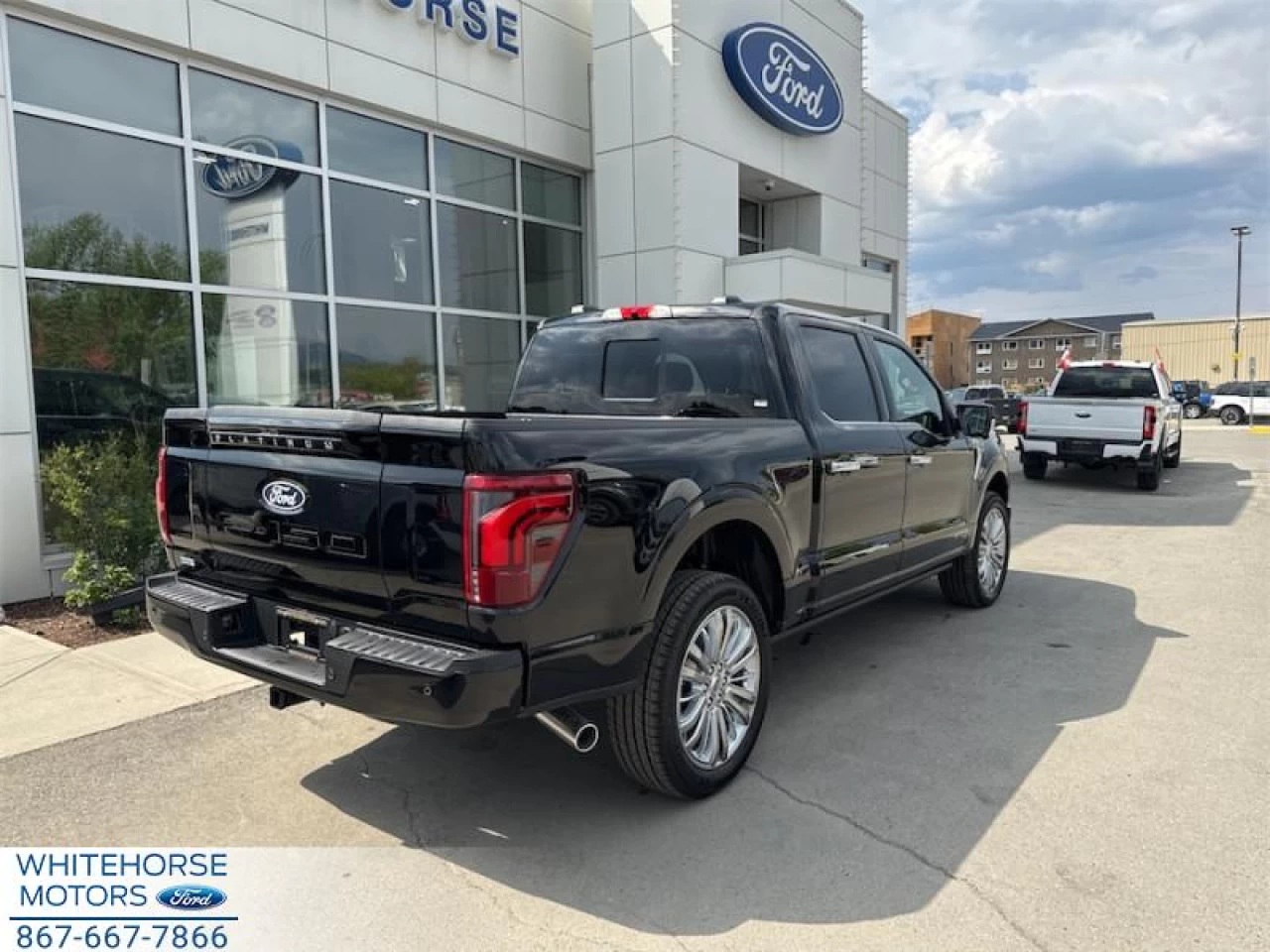 2025 Ford F-150 Platinum Main Image