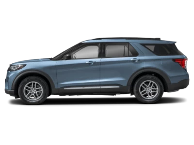 Profile, Facing to the Left