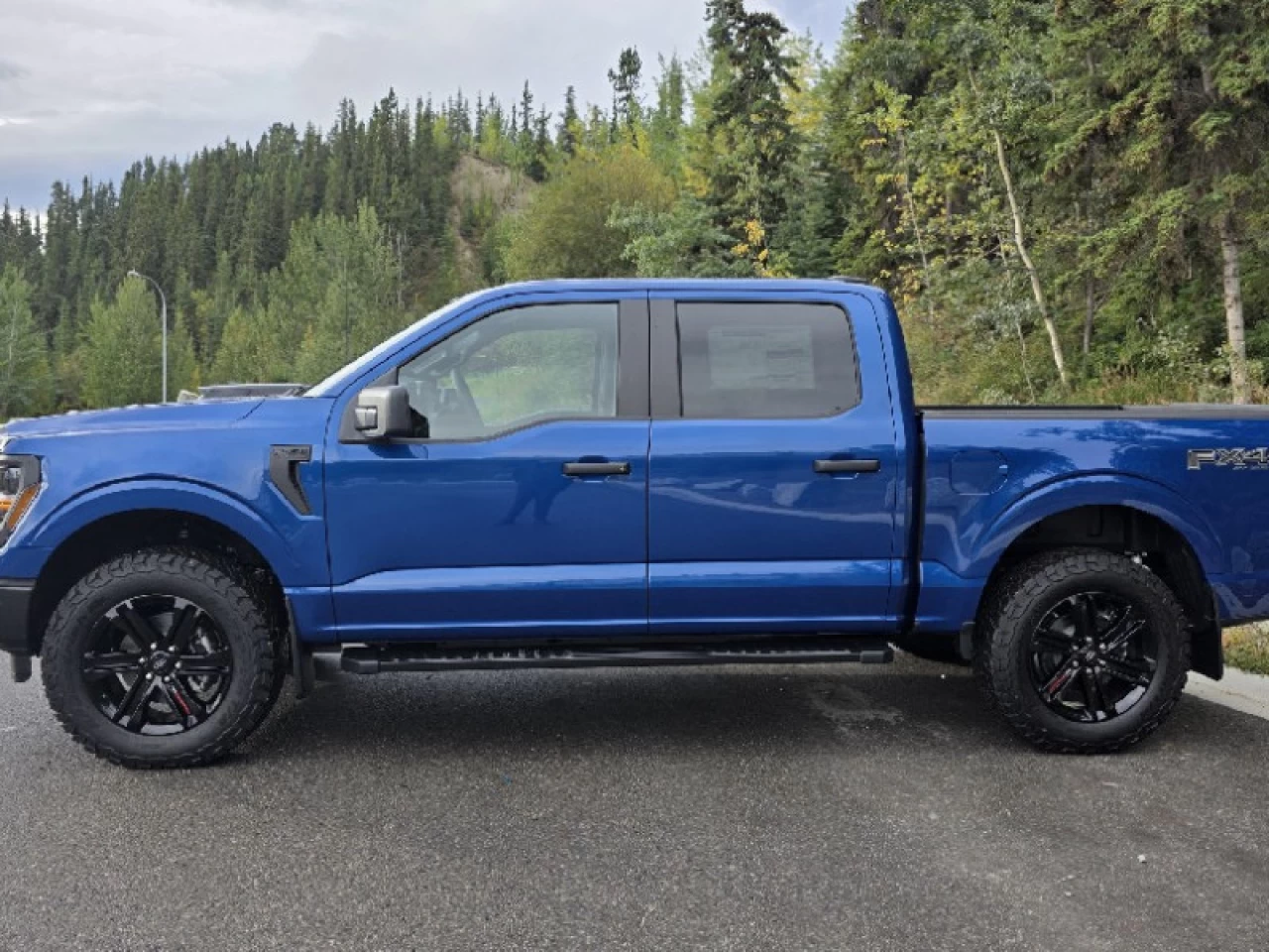 2025 Ford F-150 STX Main Image