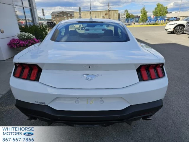 Ford Mustang EcoBoost 2024