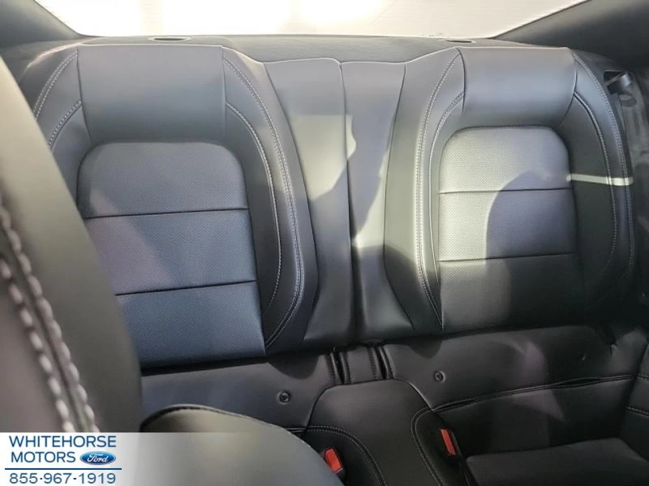 2022 Ford Mustang EcoBoost Premium Main Image