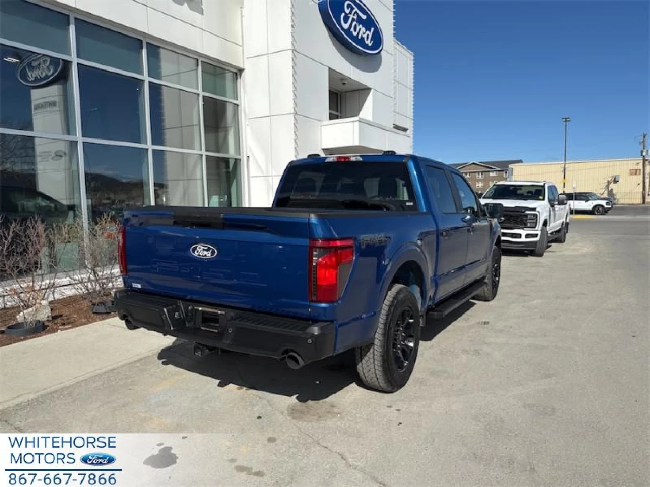 2025 Ford F-150 STX Main Image