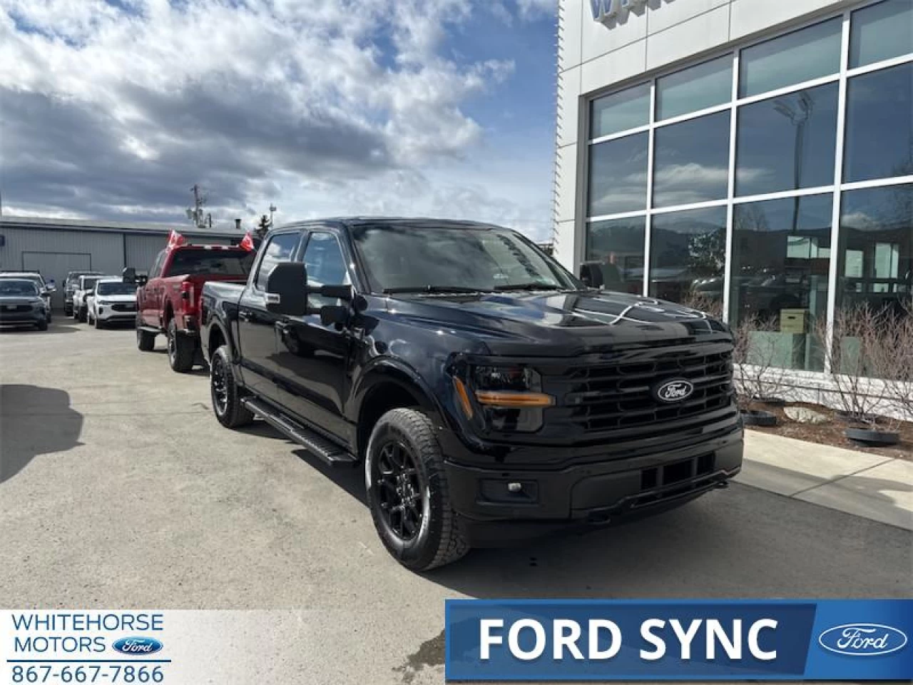 2025 Ford F-150 XLT Main Image