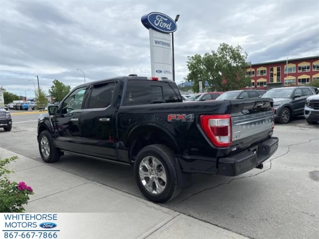 Ford F-150 Platinum 2021
