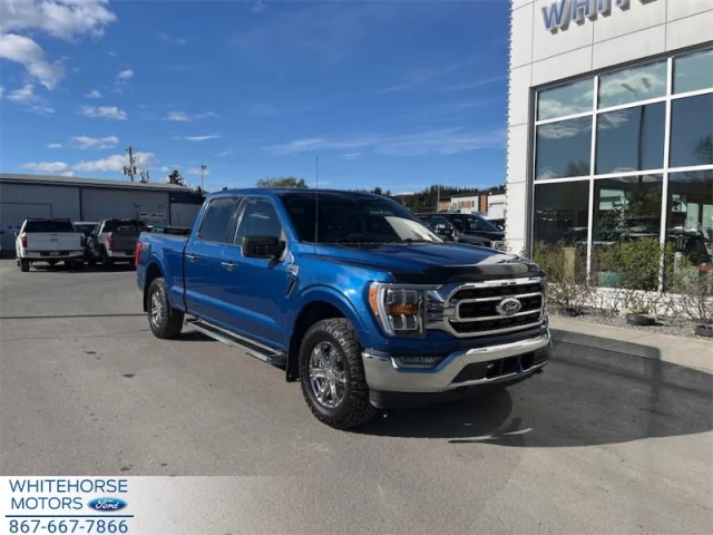 Ford F-150 XLT 2023