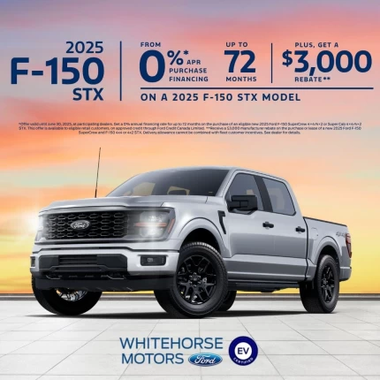 2025 F-150 STX