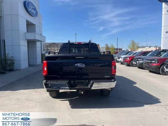 Ford F-150 XLT 2023