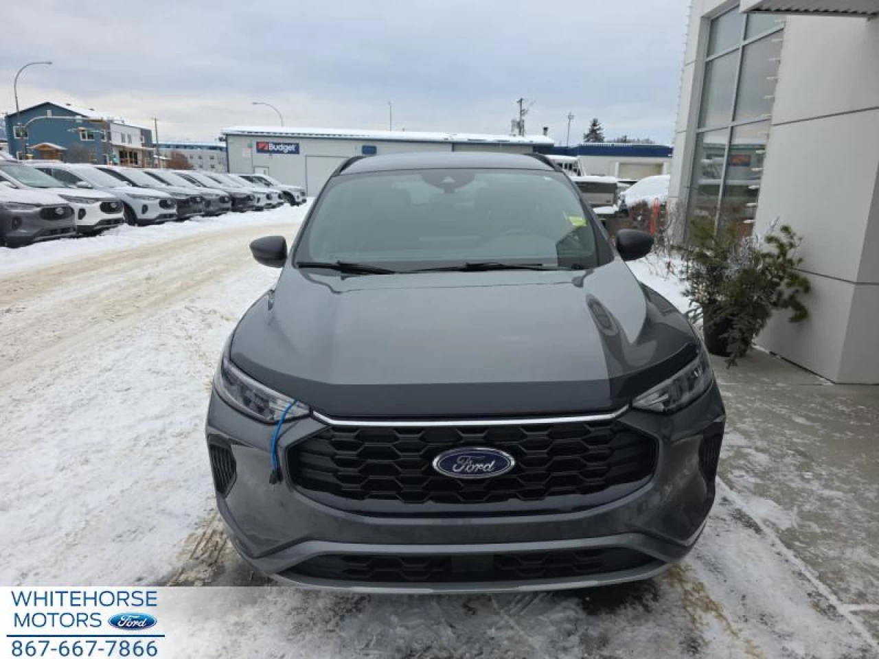 2024 Ford Escape ST-Line Main Image