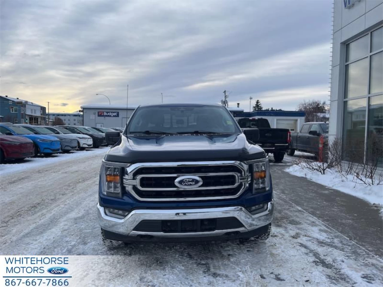 2023 Ford F-150 XLT Main Image