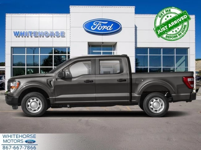 Ford F-150 - 2023