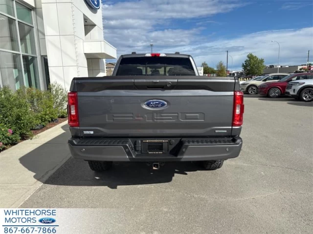 Ford F-150 XLT 2023