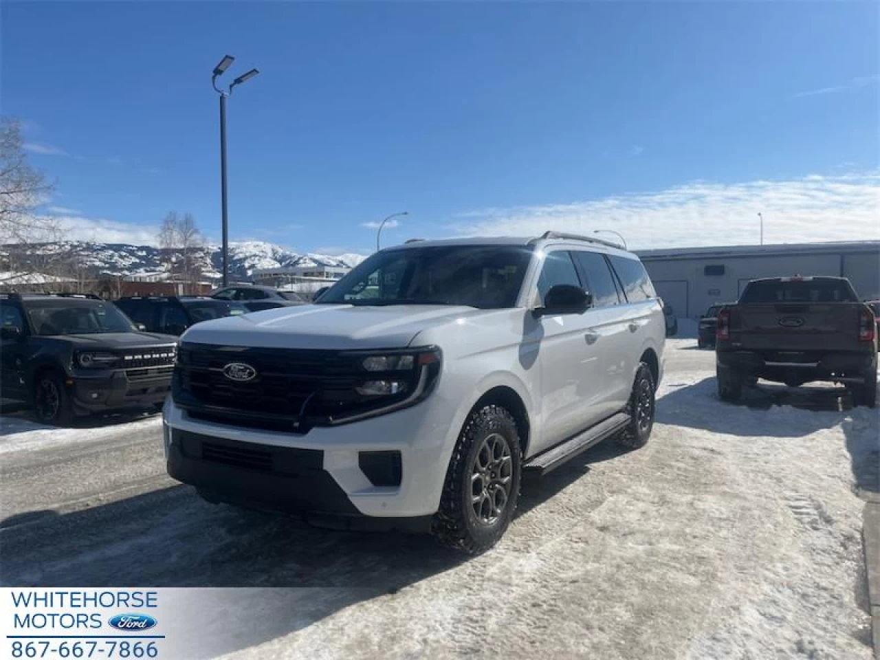 2026 Ford Expedition  Main Image