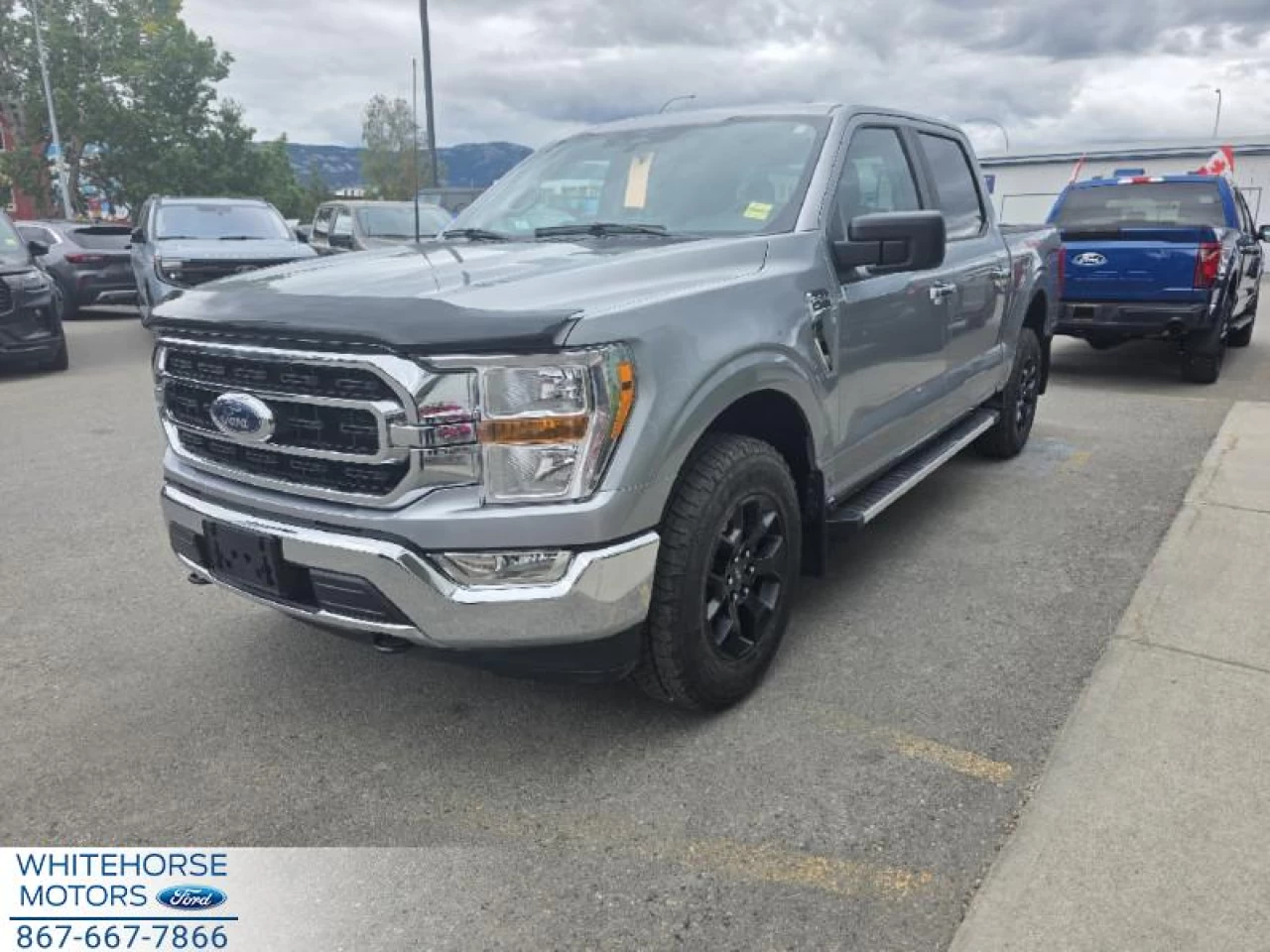 2023 Ford F-150 XLT Main Image