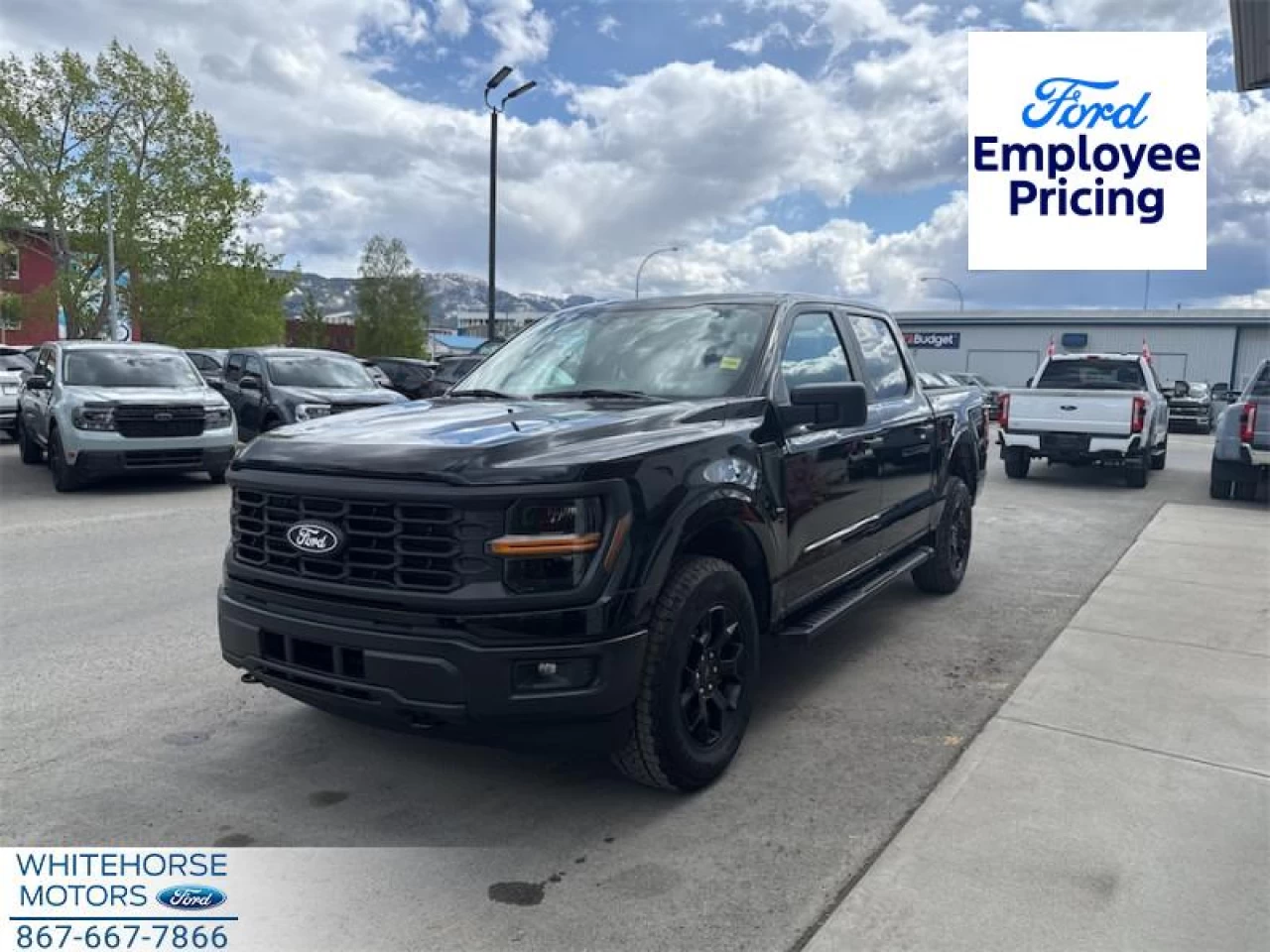 2025 Ford F-150 STX Main Image