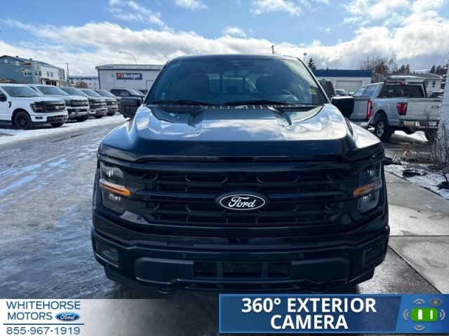 Ford F-150 XLT 2025