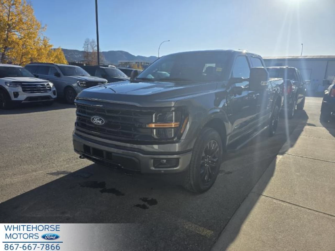 2025 Ford F-150 XLT Image principale