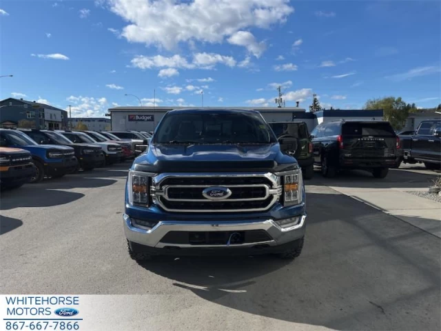 Ford F-150 XLT 2023
