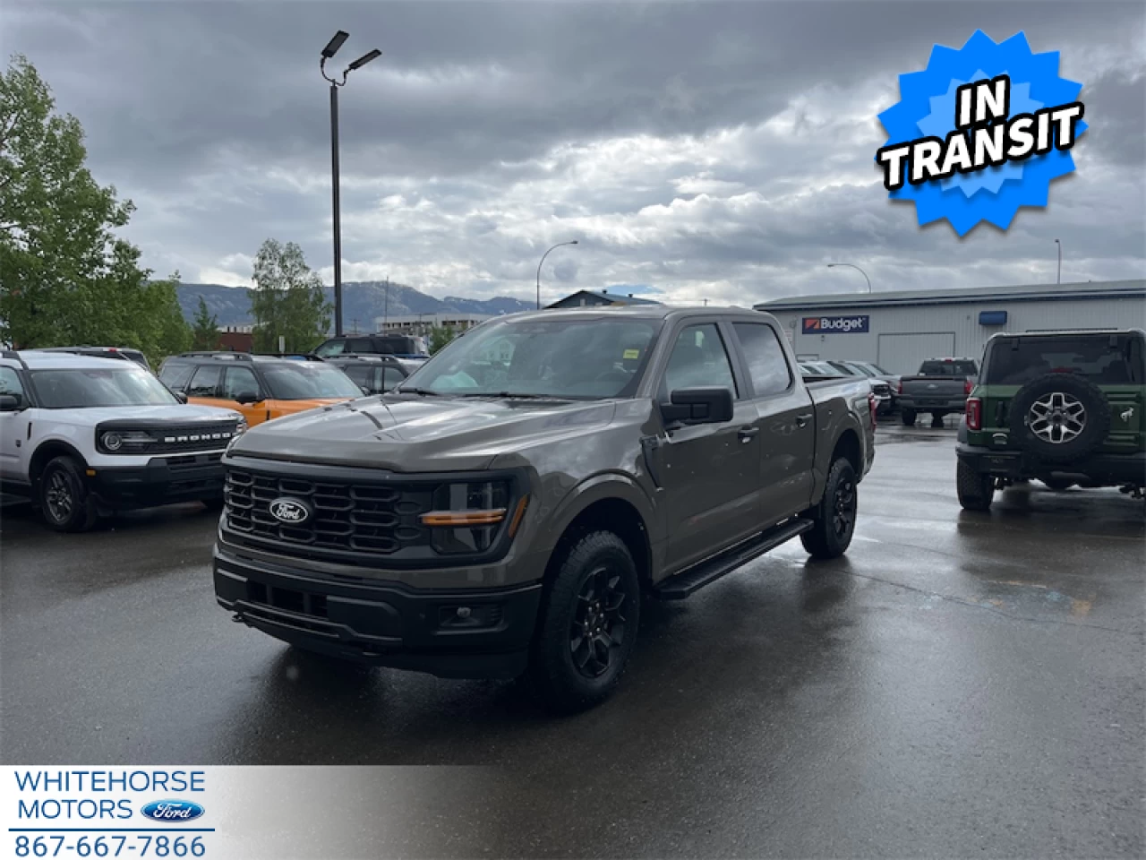 2026 Ford F-150 STX Main Image