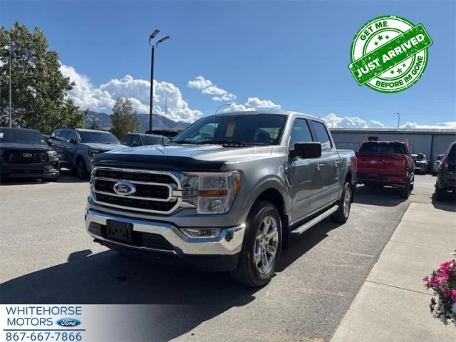 Ford F-150 XLT 2023