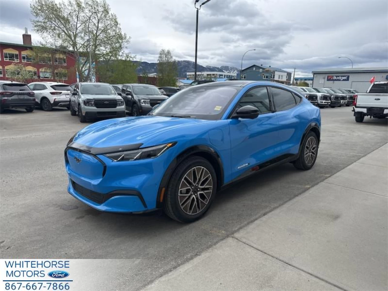 2024 Ford Mustang Mach-E Premium AWD Main Image